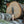 -BRISA-<br>骑兵115 
