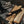 -BRISA-<br>捕兽者 95 